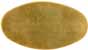 Inlay, Large Oval, 
2.16" by 1.17", brass 0.040" thick 